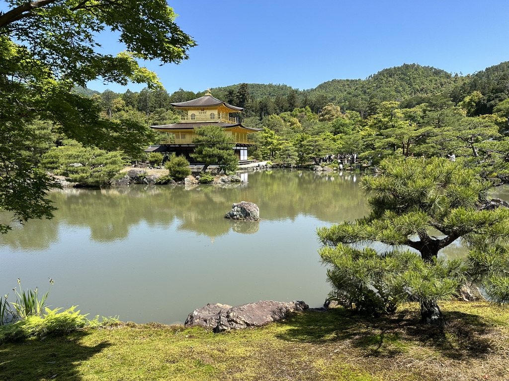 Late Bloomer’s Guide to Solo Travel After 60